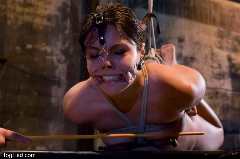 Kink 'The smile has been wiped off Thea's face' starring Thea Marie (Photo 9)