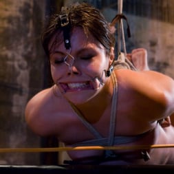 Thea Marie in 'Kink' The smile has been wiped off Thea's face (Thumbnail 9)