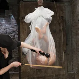 Tia Ling in 'Kink' Bitch Bound In Bag and Extreme Spread Eagle Special! (Thumbnail 19)