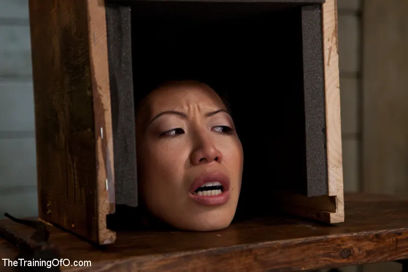 Tia Ling in 'The Training of Tia Ling, Day Two' from 'Kink' (Photo 19) Kink 'The Training of Tia Ling, Day Two' starring Tia Ling (Photo 19)