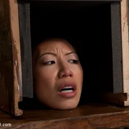 Tia Ling に 'Kink' ティアリンのトレーニング、2日目 (サムネイル 19)