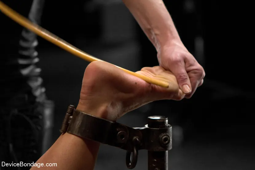 Kink '- Tormented WHORE' 主演 Tia Ling (写真 11)