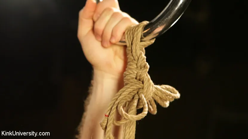 Kink '防爆ボトミング：サブサイド側からのサスペンション -  TiferethとCannon' 主演 Tifereth (写真 6)