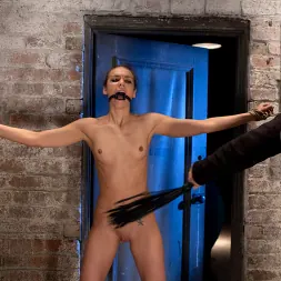 Tiffany Tyler in 'Kink' It's her first hardcore Bondage shoot. She cums like a whore while gagged and suspended! Category 5 (Thumbnail 10)
