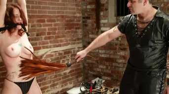 Torque in 'Dusty and Torque'
