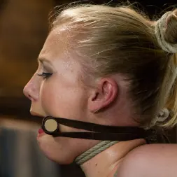 Tracey Sweet in 'Kink' Tracey Sweet (Thumbnail 21)