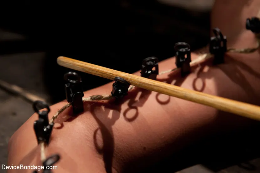 Trina Michaels に 'ボンデージの胸 - トリナとの一日' from 'Kink' (写真 13) Kink 'ボンデージの胸 - トリナとの一日' 主演 Trina Michaels (写真 13)