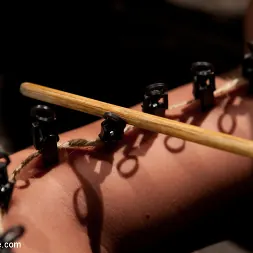 Trina Michaels in 'Kink' Boobs in Bondage - A day with Trina (Thumbnail 13)