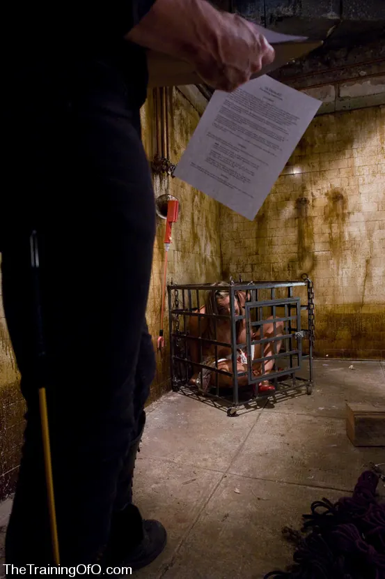 Kink 'トリナ・マイケルズの訓練、1日目' 主演 Trina Michaels (写真 1)