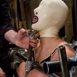 Trina Michaels に 'Kink' トリナ・マイケルズ・トレーニング3日目 (サムネイル 2)