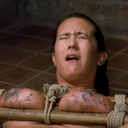 Trina Michaels に 'Kink' 舌が結ばれ、胸が痛むトリナ・マイケルズ (サムネイル 8)