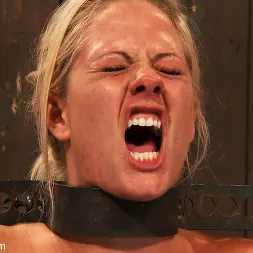 Trina Michaels en 'Kink' Trina Michaels, Holly Heart y Christina Carter, parte 3 de 4 de la transmisión en vivo de agosto (Miniatura 15)