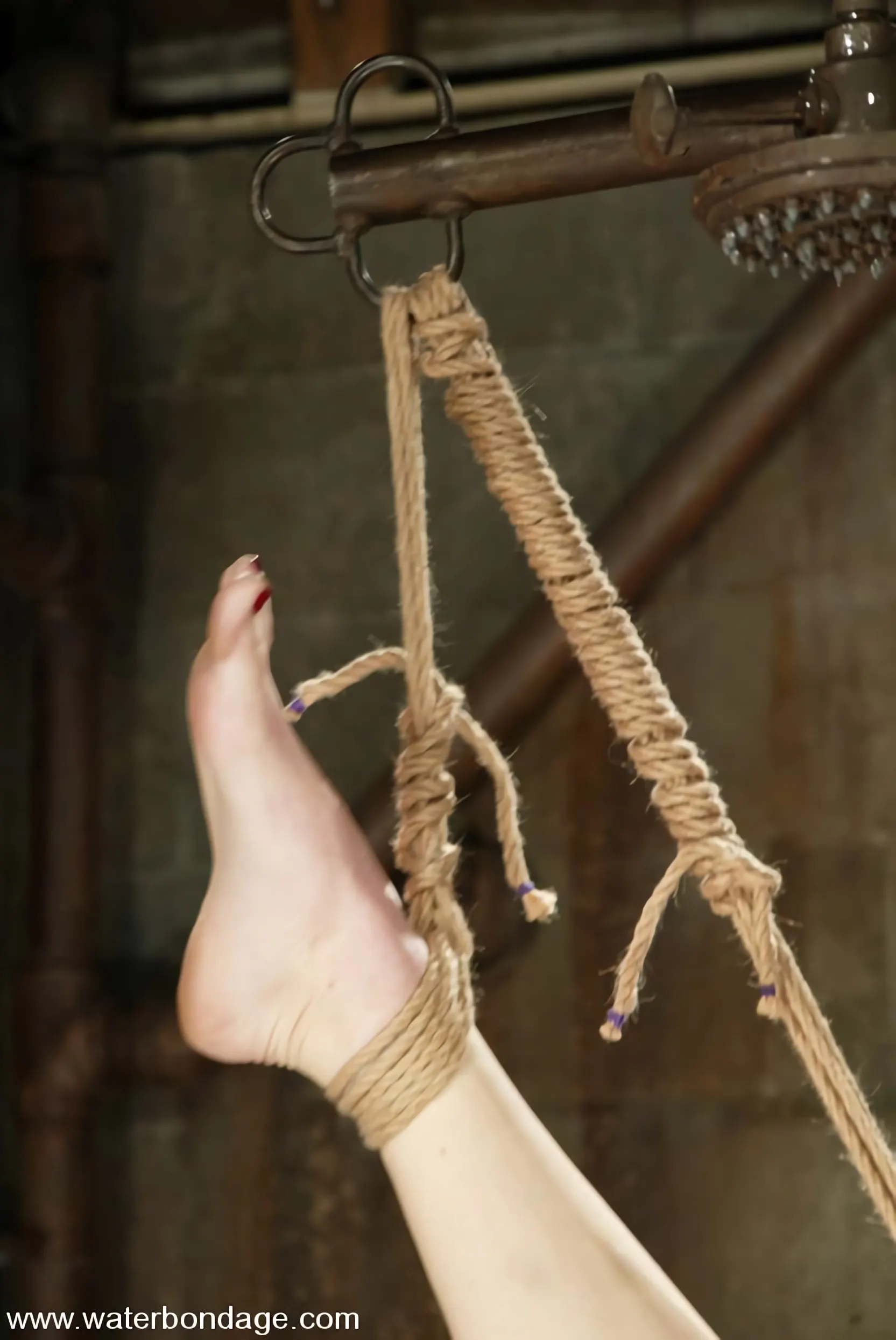 Kink 'trixie kitten' starring trixie kitten (Photo 2)