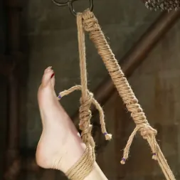 trixie kitten in trixie kitten (Photo 2) trixie kitten in 'Kink' trixie kitten (Thumbnail 2)