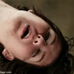 trixie kitten in trixie kitten (Photo 7) trixie kitten in 'Kink' trixie kitten (Thumbnail 7)