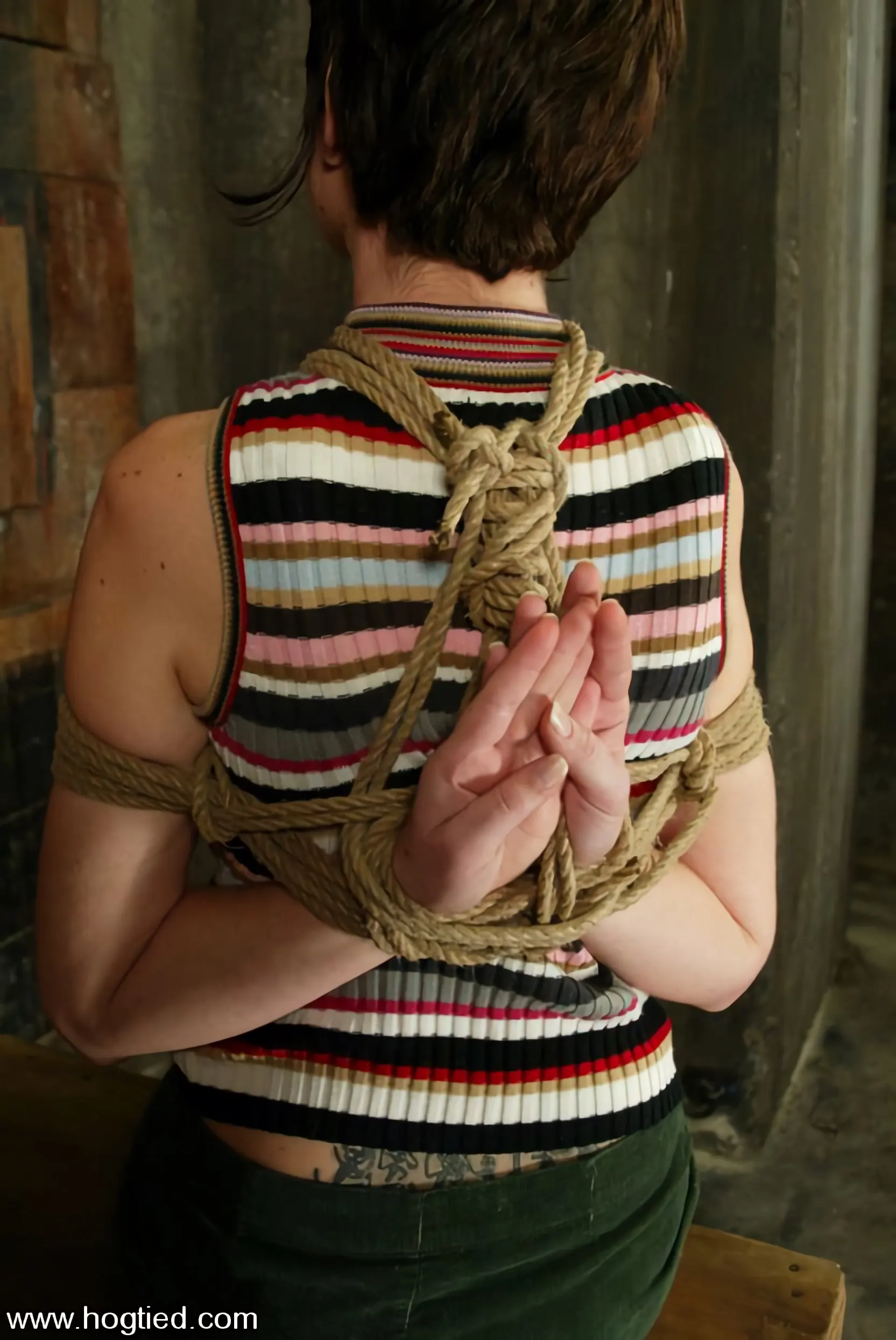 trixie kitten in 'trixie kitten' from 'Kink' (Photo 2) Kink 'trixie kitten' starring trixie kitten (Photo 2)