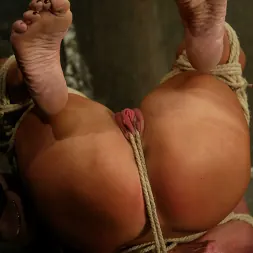 ユタスウィート に ユタスウィート (写真 8) ユタスウィート に 'Kink' ユタスウィート (サムネイル 8)