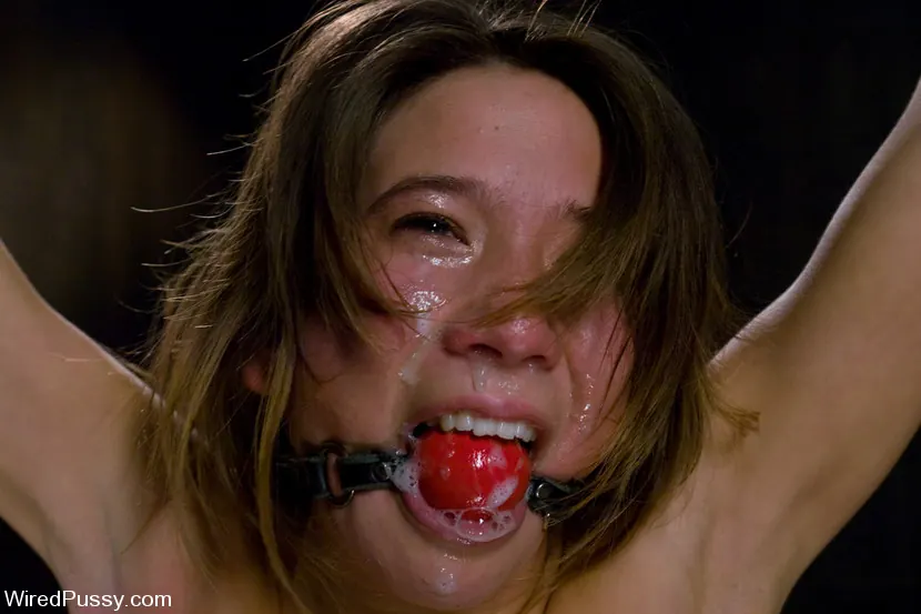 Kink 'THE NEW COLLECTION: PART 1' starring Vai (Photo 13)