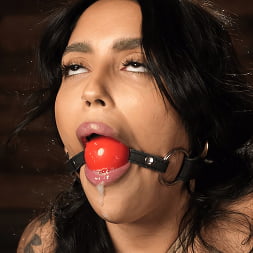 Vanessa Sky in 'Kink' Vanessa Sky: Bondage Slut Begs For More (Thumbnail 7)