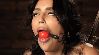 Vanessa Sky in 'Vanessa Sky: Bondage Slut Begs For More'