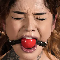 Vanessa Vega に 'Kink' 厄介なクソ雌犬:ヴァネッサベガ (サムネイル 7)