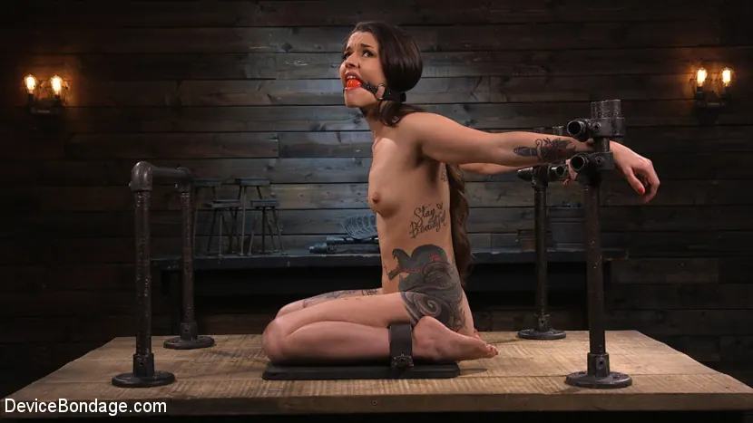 Kink 'Vanessa Vega: Fresh Meat Lays It All On The Line' starring Vanessa Vega (Photo 1)