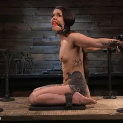Vanessa Vega in 'Kink' Vanessa Vega: Fresh Meat Lays It All On The Line (Thumbnail 1)