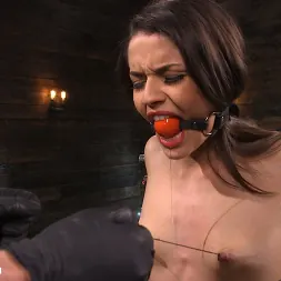 Vanessa Vega in 'Kink' Vanessa Vega: Fresh Meat Lays It All On The Line (Thumbnail 4)