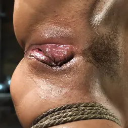 Vanna Bardot に 新鮮な肉:ヴァンナバルドー (写真 12) Vanna Bardot に 'Kink' 新鮮な肉:ヴァンナバルドー (サムネイル 12)