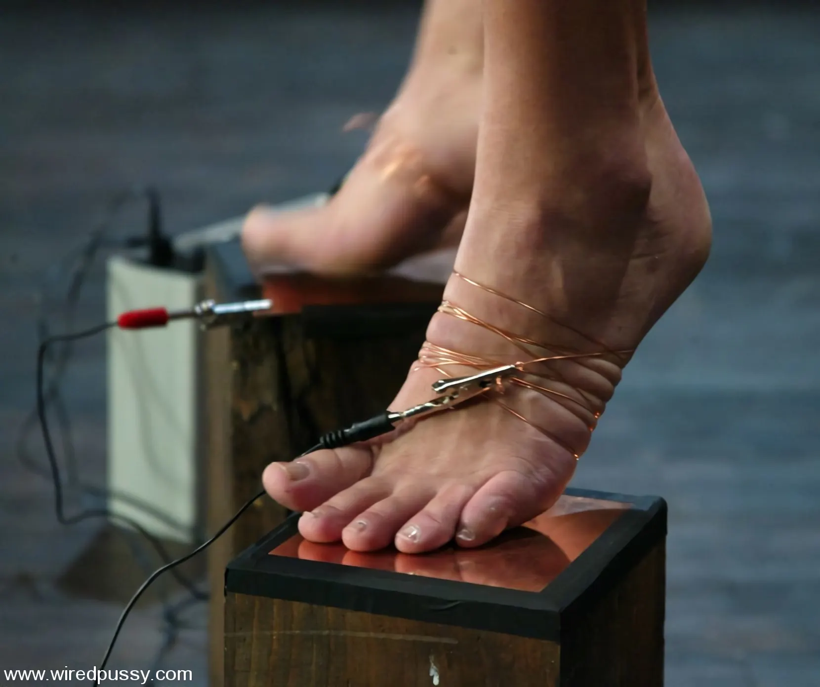 Kink 'Princess Donna Dolore and Vendetta' starring Vendetta (Photo 4)