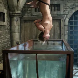 Vendetta in 'Kink' and Sir C (Thumbnail 6)