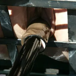 Venus in 'Kink' and Audrey Leigh (Thumbnail 12)