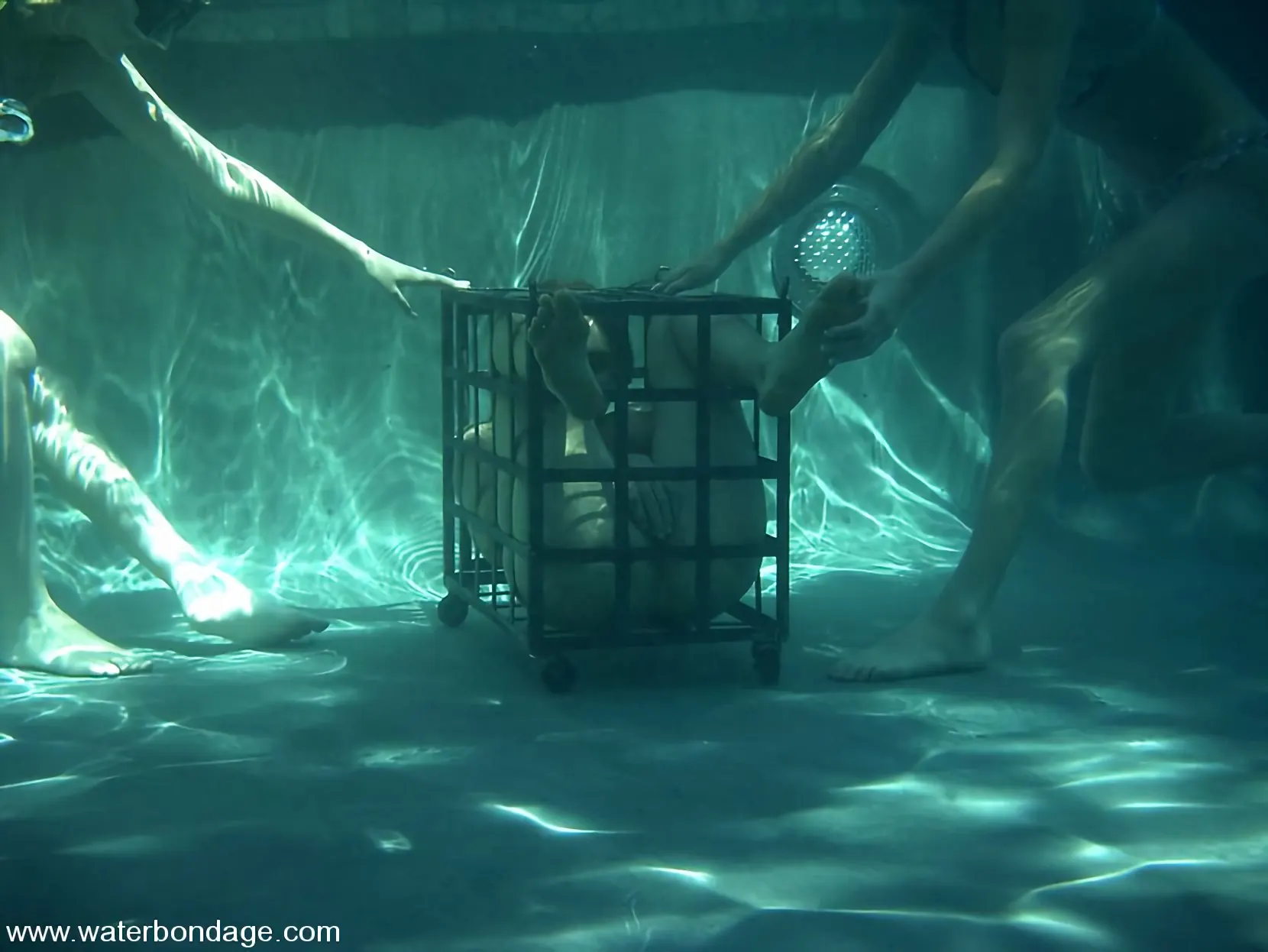 Kink 'and Audrey Leigh' starring Venus (Photo 14)