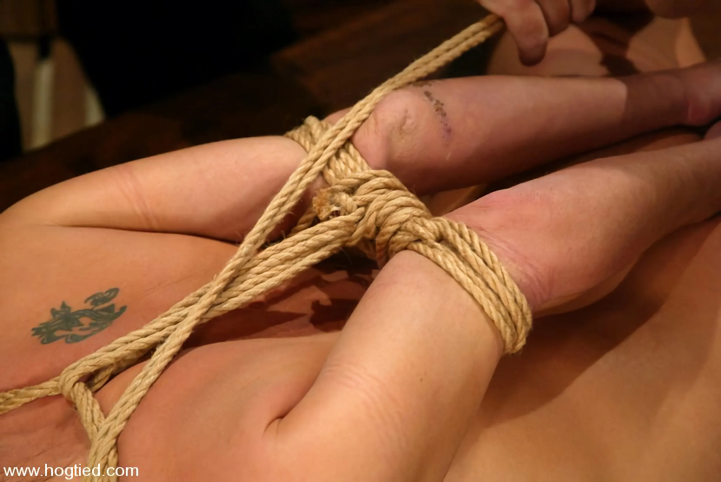 金星 に '金星' from 'Kink' (写真 11) Kink '金星' 主演 金星 (写真 11)