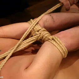 Venus en 'Kink' Venus (Miniatura 11)