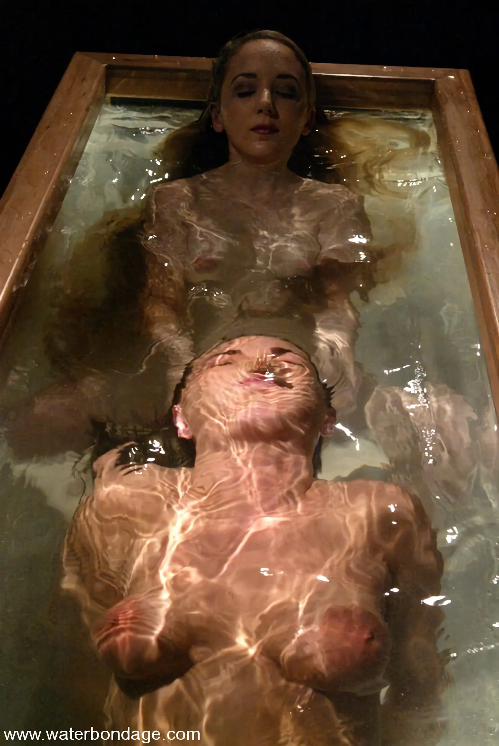 金星 に '金星' from 'Kink' (写真 13) Kink '金星' 主演 金星 (写真 13)