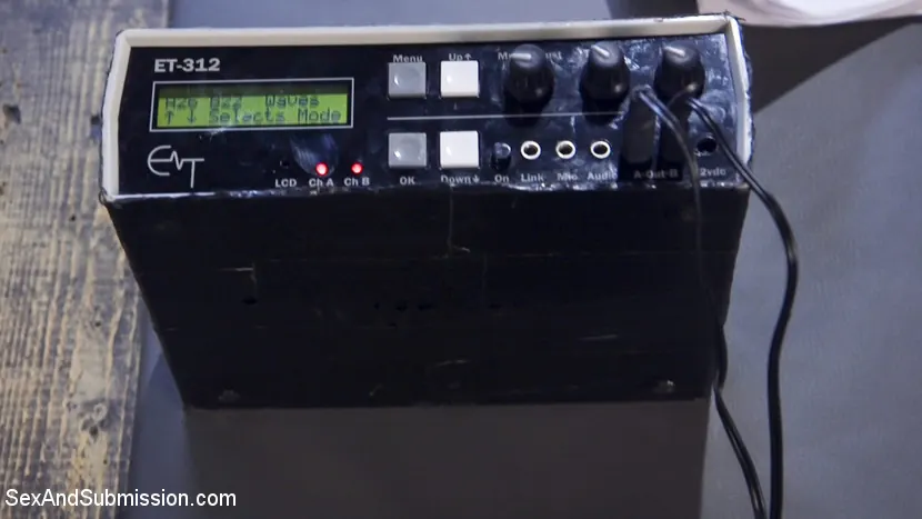 Kink 'Sexual Interrogation' starring Vera Drake (Photo 6)