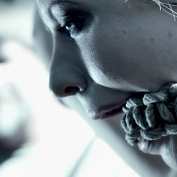 Veruca James に 'Kink' DECEPTION +ボーナスマテリアルファンタジー特集 (サムネイル 4)