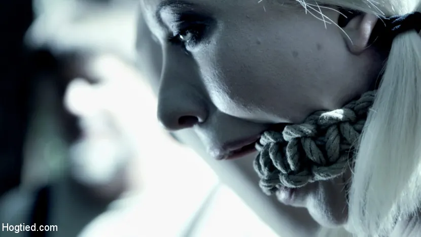 Kink 'DECEPTION más material adicional Una película de fantasía' protagonizando Veruca James (foto 4)