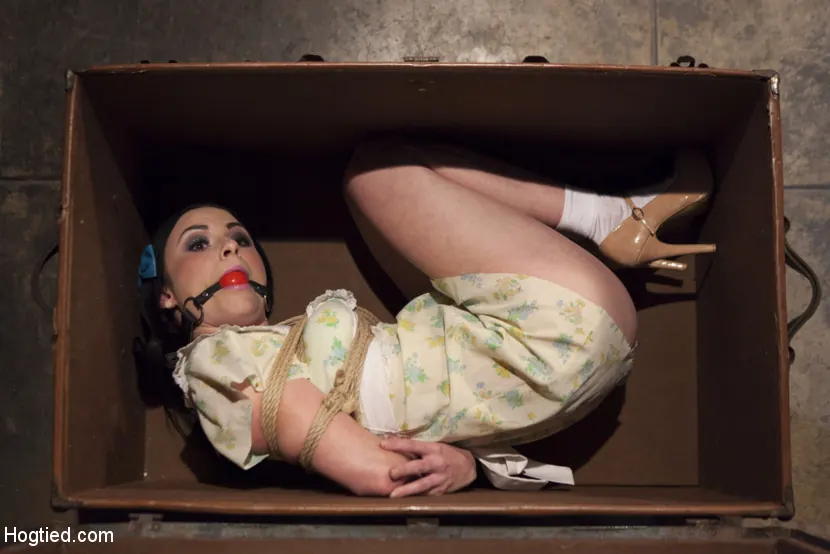 Kink '擬人化された人形' 主演 Veruca James (写真 2)