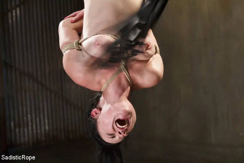 Veruca James に 'プレデサメント' from 'Kink' (写真 4) Kink 'プレデサメント' 主演 Veruca James (写真 4)