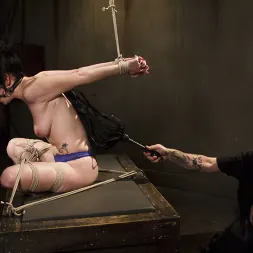 Veruca James に 'Kink' プレデサメント (サムネイル 15)