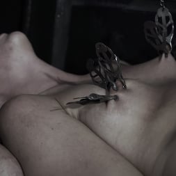 Victoria Voxxx in 'Kink' Diary of a Madman, Episode 1: 'The Hunt' (Thumbnail 20)