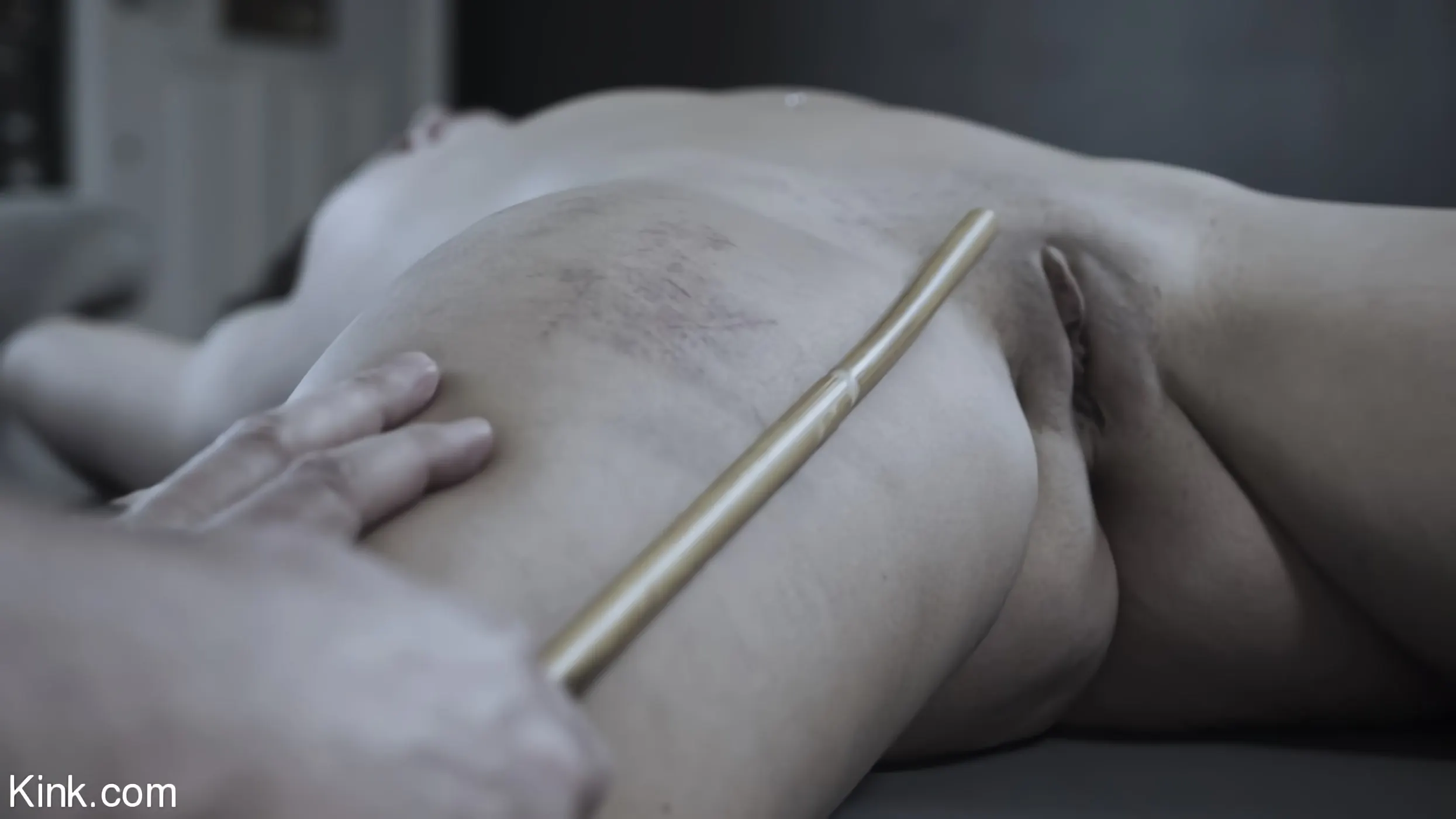 Victoria Voxxx に '狂人の日記、エピソード4:「問題は解決」' from 'Kink' (写真 5) Kink '狂人の日記、エピソード4:「問題は解決」' 主演 Victoria Voxxx (写真 5)