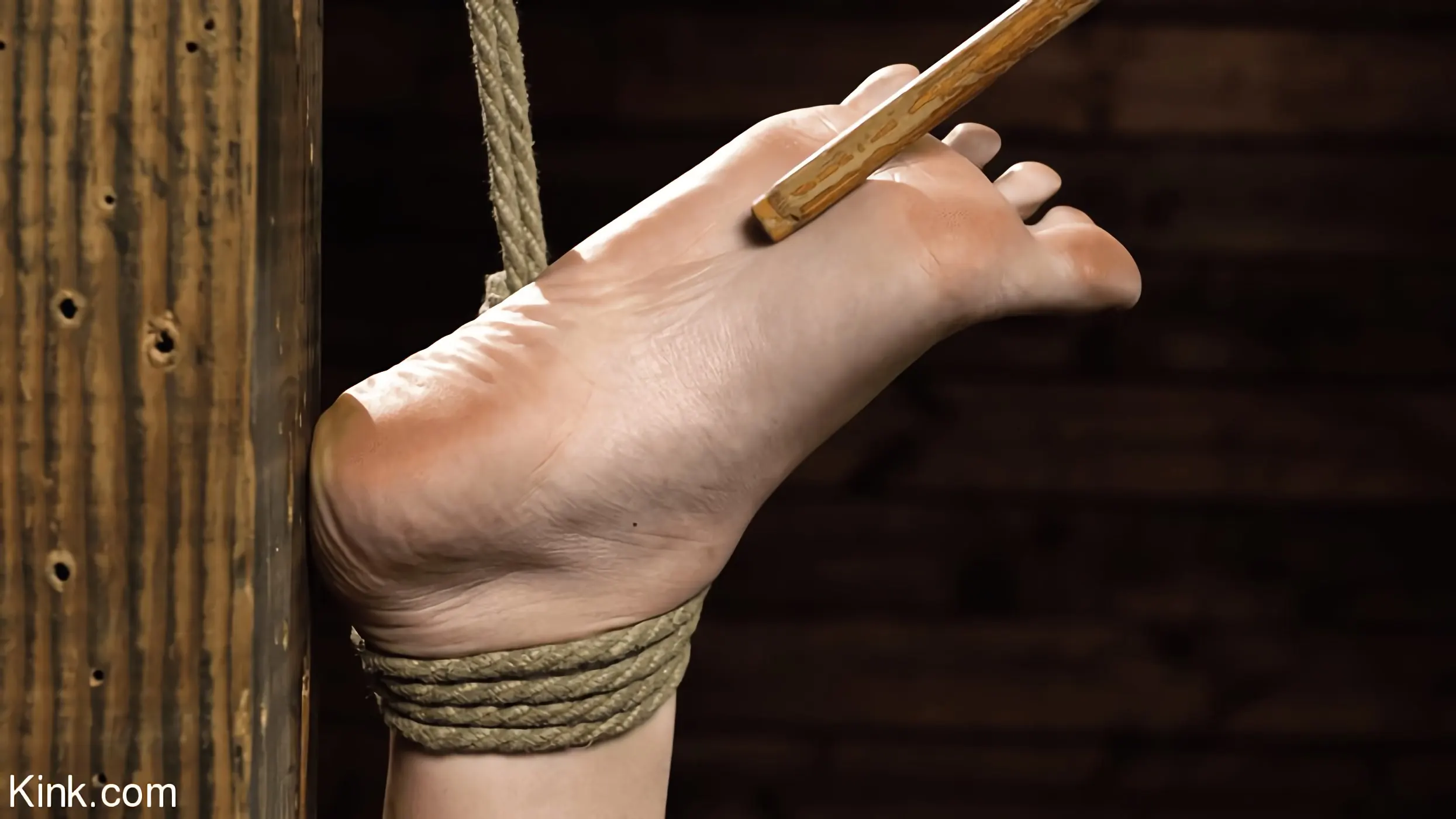 Kink 'Victoria Voxxx: esclavitud brutal' protagonizando Victoria Voxxx (foto 7)