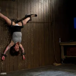 Vivienne Del Rio in 'Kink' You're going to cum more than you want, and you'll like it. (Thumbnail 1)