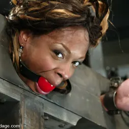 Vixen Fyre in 'Kink' Vixen Fyre (Thumbnail 4)