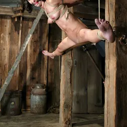 Wenona に 'Kink' 軍曹少佐とウェノナ (サムネイル 8)