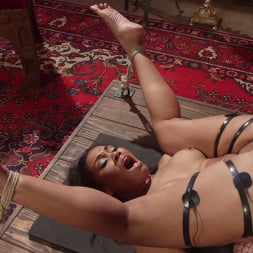 Yasmine de Leon に 'Kink' 角質の素人は、マルチオルガズムのエレクトリックファック (サムネイル 8)