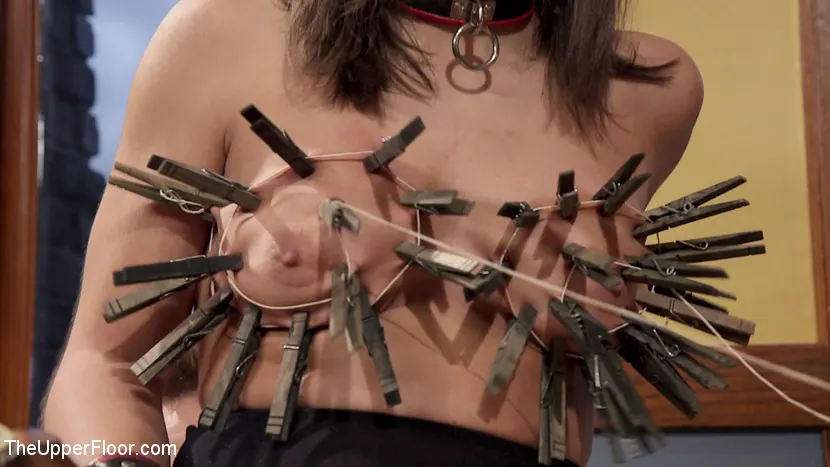 Kink 'La violación anal de Abella por los errores de New Meat' protagonizando Zoe Parker (foto 5)